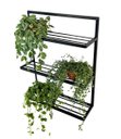 Ver imagem 1 de Prateleira Decorativa Parede Jardim suporte Plantas Ferro Artesanal jardim vertical MINAS ARTE PRÓPR