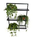 Ver imagem 2 de Prateleira Decorativa Parede Jardim suporte Plantas Ferro Artesanal jardim vertical MINAS ARTE PRÓPR