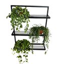 Ver imagem 2 de Prateleira Decorativa Parede Jardim suporte Plantas Ferro Artesanal jardim vertical MINAS ARTE PRÓPR