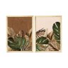 Kit 2 Quadros Decorativos Plantas Folhagens Sala Cozinha - 1