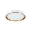 Ver imagem 1 de Luminária de Teto Plafon Redondo Sobrepor Ø39 Led Multicor 3 em 1 Bivolt 25w Moderno