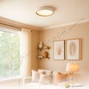 Ver imagem 3 de Luminária de Teto Plafon Redondo Sobrepor Ø39 Led Multicor 3 em 1 Bivolt 25w Moderno