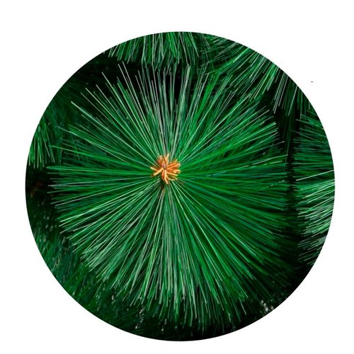 Arvore De Natal 1,80 M 200 Galhos Pinheiro Verde Cheia Luxo
