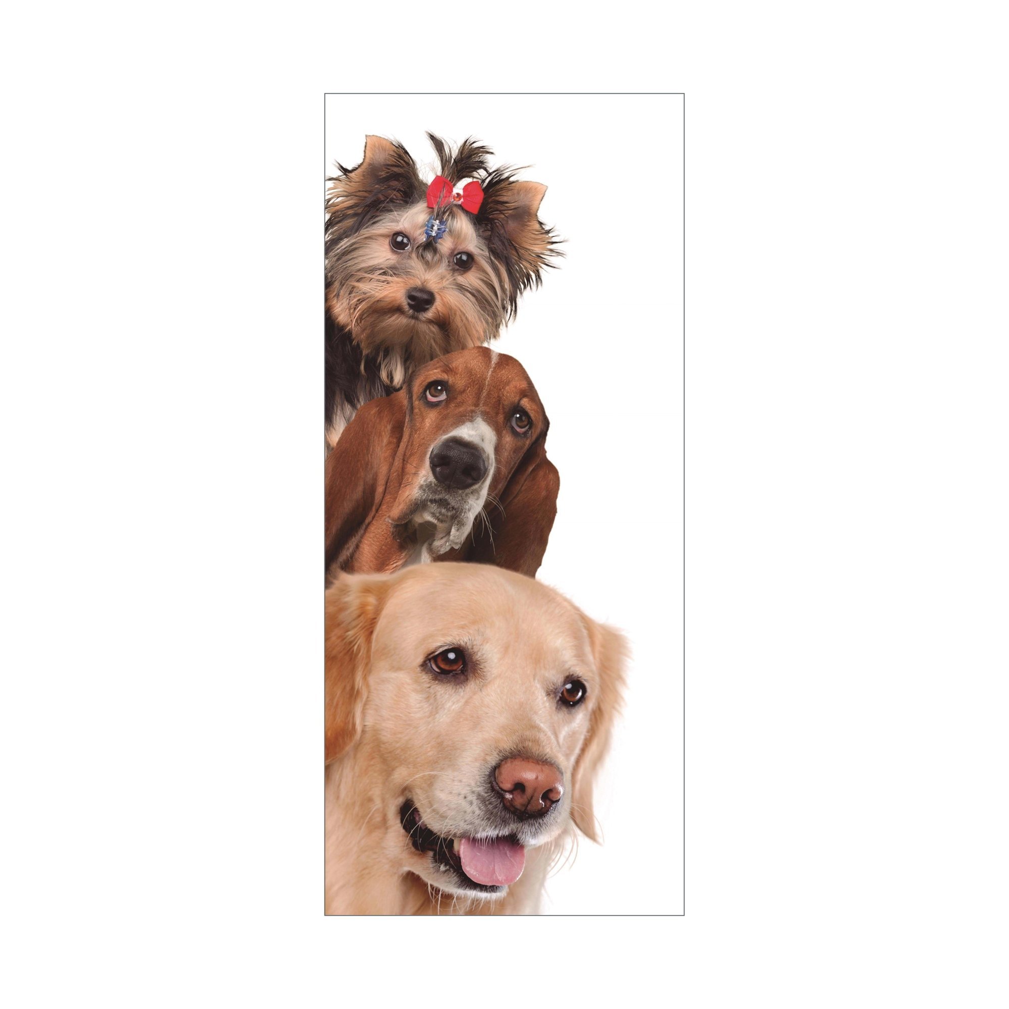 Adesivo Decorativo Porta Animais Cachorros Cão Pet Shop