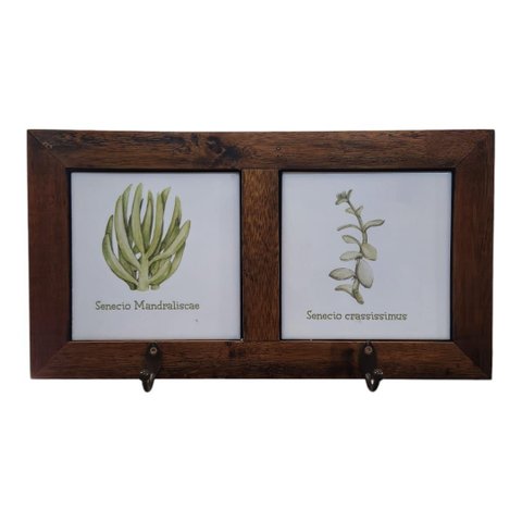 Quadro Cabideiro Duplo com Azulejo - Suculenta