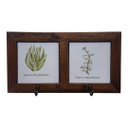 Ver imagem 1 de Quadro Cabideiro Duplo com Azulejo - Suculenta