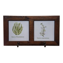 Quadro Cabideiro Duplo com Azulejo - Suculenta - 1