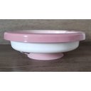 Ver imagem 5 de Kit Refeição Bebê Infantil Prato Térmico Ventosa Copo Mágico 360º e Potes Bichinhos Petit