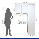 Ver imagem 5 de Lavanderia Modulada 1 Armário Multiuso e Armário Aéreo Uberlândia - Kaiki Móveis Branco