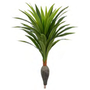 Ver imagem 1 de Planta Árvore Artificial Dracena Garrafa Real Toque X37 Verde 1,2m