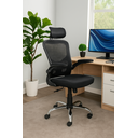 Ver imagem 1 de Cadeira para Escritório Ergonômica Modelo Presidente Oc 300 Cor Preto com Nr-17