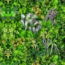 Ver imagem 1 de Papel de Parede Adesivo Decorativo Jardim Vertical Folhagem - 3 Metros