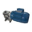 Ver imagem 3 de Motorredutor Weg Geremia GSA51 Coroa e Rosca 80 1:40 1CV 4P Tri C-Din Eixo 24mm
