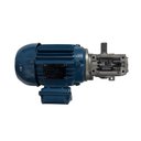 Ver imagem 4 de Motorredutor Weg Geremia GSA51 Coroa e Rosca 80 1:40 1CV 4P Tri C-Din Eixo 24mm