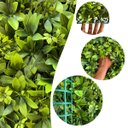 Ver imagem 1 de Kit 16 Placas de Folhagem Artificial Modelos Linha Premium para Parede Verde e Jardim Decorativo Lux