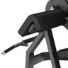 Maquina de Biceps Profissional New Classic Wellness - Em349 Em349 - 2