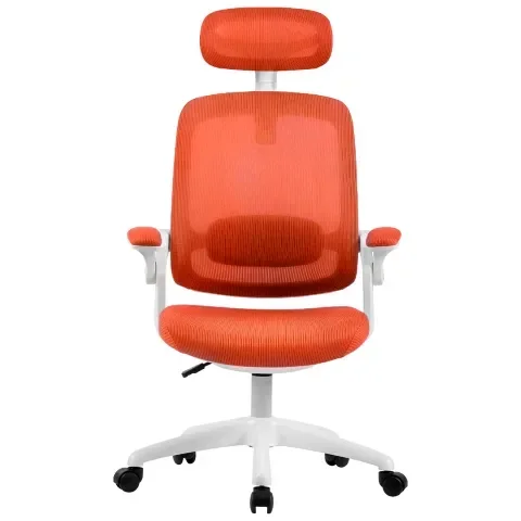 Cadeira de Escritorio Elements Astra - 1