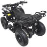 Mini Quadriciclo Infantil Gasolina Atv 49CC 2T Partida Elétrica Cross Off Road Importway Iwatv-049 - 4
