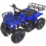 Mini Quadriciclo Infantil Gasolina Atv 49CC 2T Partida Elétrica Cross Off Road Importway Iwatv-049 - 2