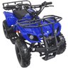 Mini Quadriciclo Infantil Gasolina Atv 49CC 2T Partida Elétrica Cross Off Road Importway Iwatv-049 - 5