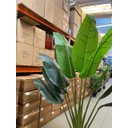 Ver imagem 5 de Ravenala Artificial Grande Bananeira Realista para Decoração com 2.00m.