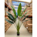 Ver imagem 6 de Ravenala Artificial Grande Bananeira Realista para Decoração com 2.00m.
