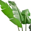 Ver imagem 2 de Ravenala Artificial Grande Bananeira Realista para Decoração com 2.00m.