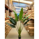 Ver mais imagens de Ravenala Artificial Grande Bananeira Realista para Decoração com 2.00m.
