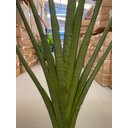 Ver imagem 7 de Ravenala Artificial Grande Bananeira Realista para Decoração com 2.00m.