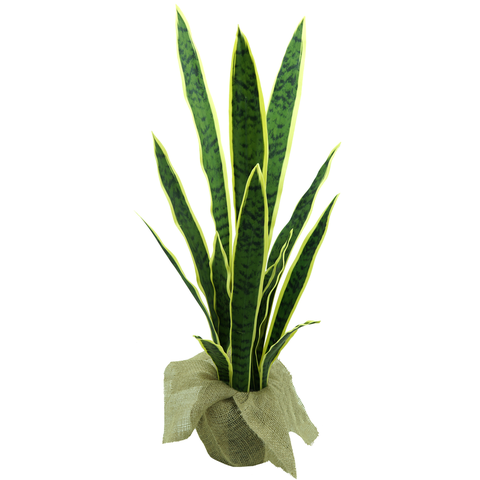 Planta Folhas Espada de São Jorge Permanente Toque Verde Realista