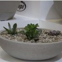 Ver imagem 1 de Vaso Bacia 41cmx41cm Europa Japi