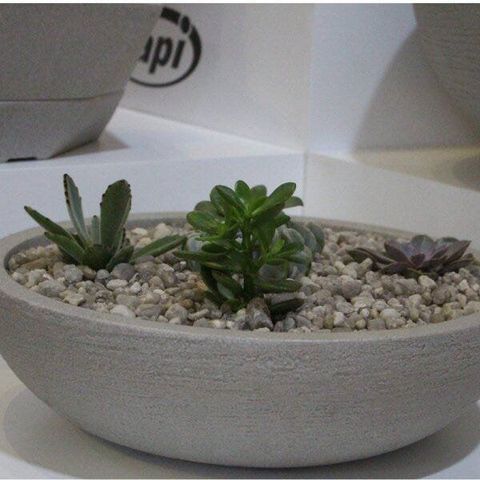 Vaso Bacia 41CMX41CM Europa Japi Cinza/Cimento