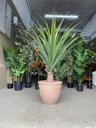 Ver imagem 6 de Vaso para Planta Grande Decoração Sala Varanda Jardim Efeito Rústico e Leve (liso/bege)