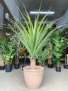 Ver imagem 7 de Vaso para Planta Grande Decoração Sala Varanda Jardim Efeito Rústico e Leve (liso/bege)