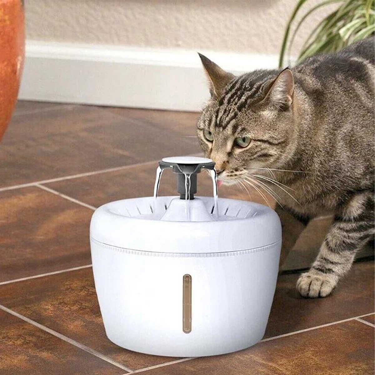 Fonte Bebedouro Agua 2 Litros Gato Cachorro Cao Animais de Estimaçao Pet Filtro Potavel Hidrataçao L - 10