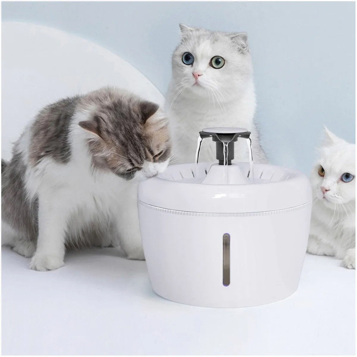 Fonte Bebedouro Agua 2 Litros Gato Cachorro Cao Animais de Estimaçao Pet Filtro Potavel Hidrataçao L - 4