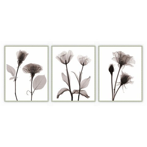 kit com 3 Quadros Decorativos Florais com Moldura e Vidro para Sala Quarto Escritório e Clínica 52x6