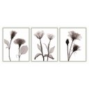 Ver imagem 1 de kit com 3 Quadros Decorativos Florais com Moldura e Vidro para Sala Quarto Escritório e Clínica 52x6