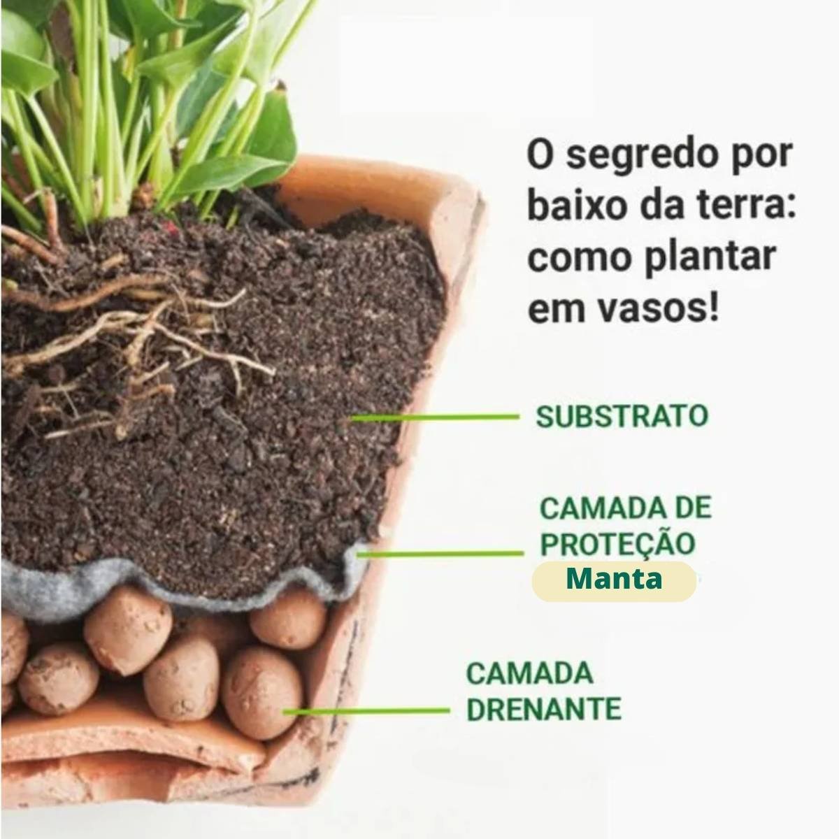 Manta para Drenagem Pacote (1x1m) Verde Nutriplan - 4