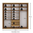 Ver imagem 6 de Guarda-Roupas Casal 100% MDF 208,5cm com 1 Porta Espelho 3 Gavetas Closet Sion Marrom/Nogueira