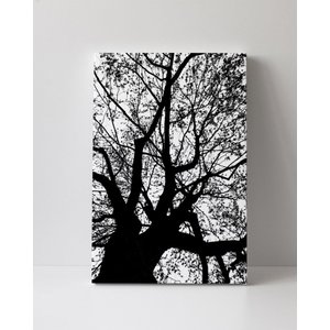 Tela em Canvas 115