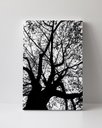 Ver imagem 1 de Tela em Canvas 115