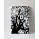 Ver imagem 1 de Tela em Canvas 115