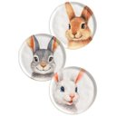 Ver imagem 3 de Jogo Pratos Sobremesa Sorrisos Coelho Páscoa 21,5cm Kit 3pçs