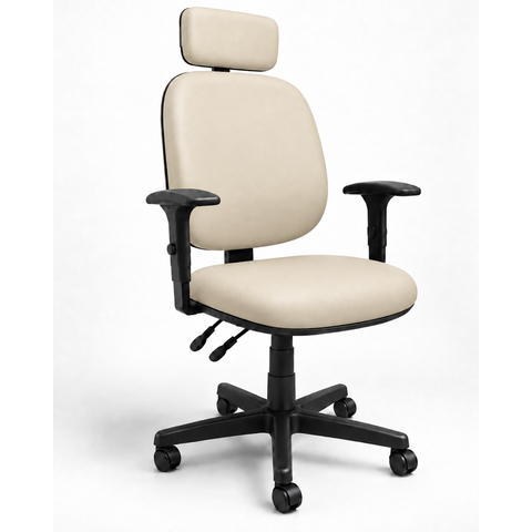 Cadeira Escritório Ergonômica NR17 Back System Executiva Diretor Apoio Cabeça Regulável Giratória
