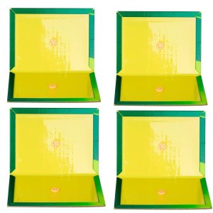 Ratoeira Adesiva Cola Pega Rato 20x15cm | 04 Un