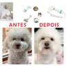 Secador Escova Pelos Pet Cachorro Gato Animais Estimaçao Banho Tosa 2 em 1 Ajuste Temperatura Casa P - 2