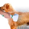 Secador Escova Pelos Pet Cachorro Gato Animais Estimaçao Banho Tosa 2 em 1 Ajuste Temperatura Casa P - 9