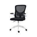 Ver imagem 1 de Cadeira de Escritório Home Office Ergonômica Diretor Bytes com Encosto em Tela Apoio Lombar e Bra