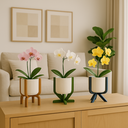 Ver imagem 1 de Trio de Vasos Pé Alto Miira Studio